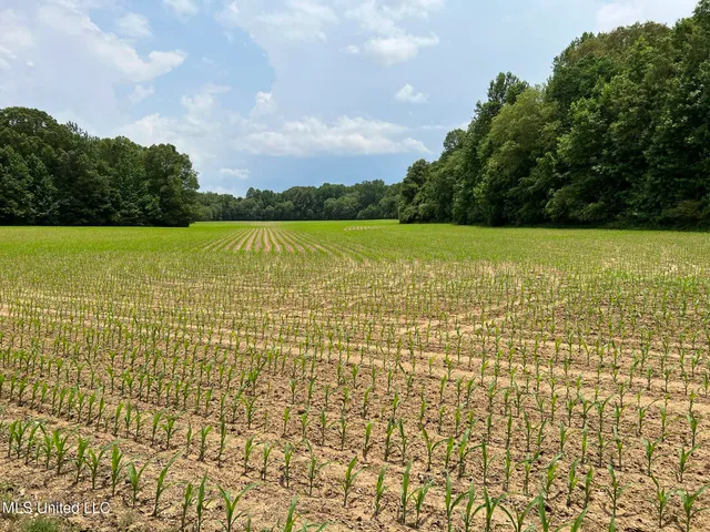 $5,200,000 | 1975 Highway 178, Myrtle, MS 38650