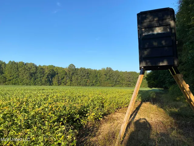 $5,200,000 | 1975 Highway 178, Myrtle, MS 38650