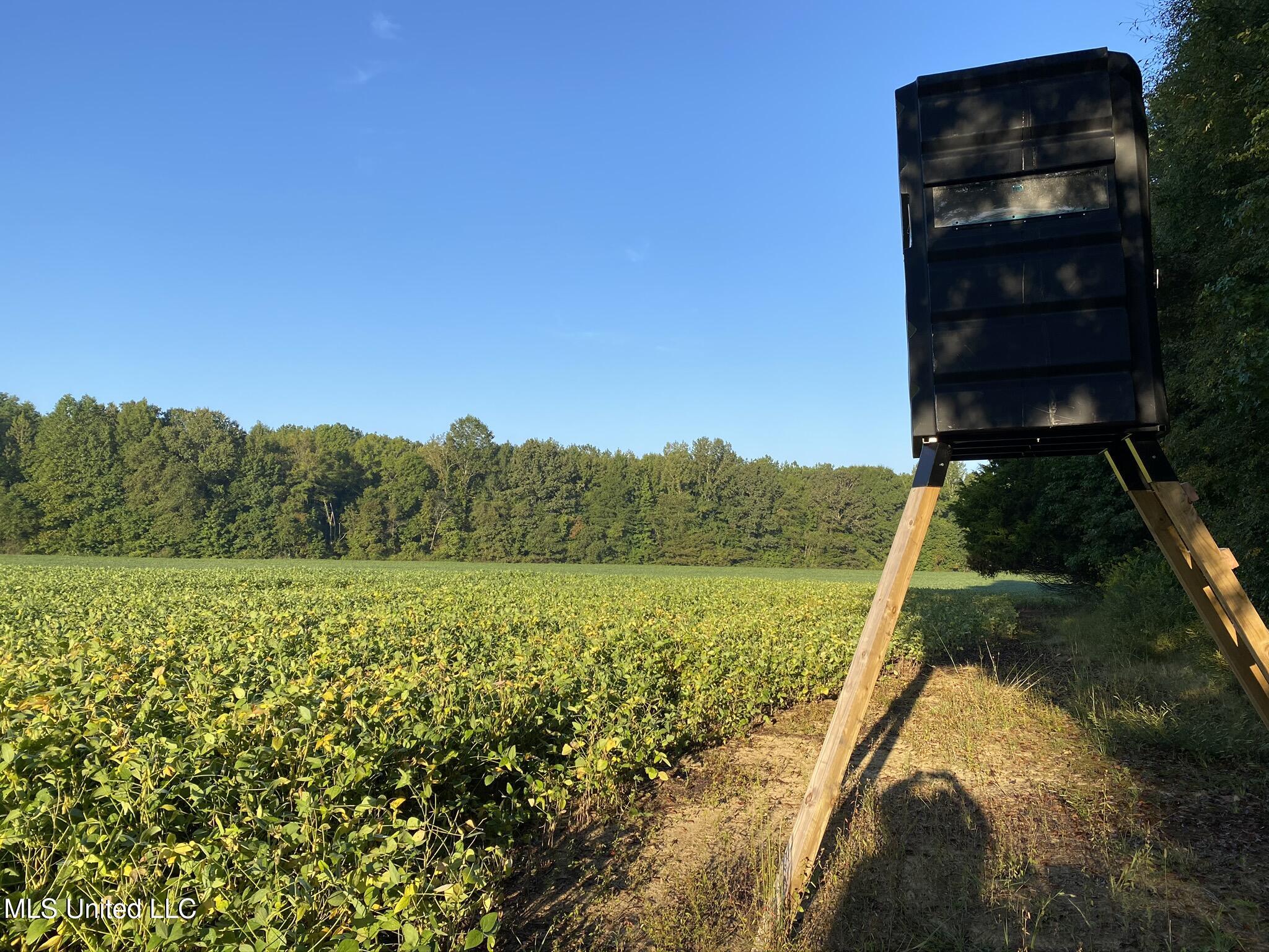 1975 Highway 178 Myrtle, MS 38650 - Photo 39 of 199 IMG_37