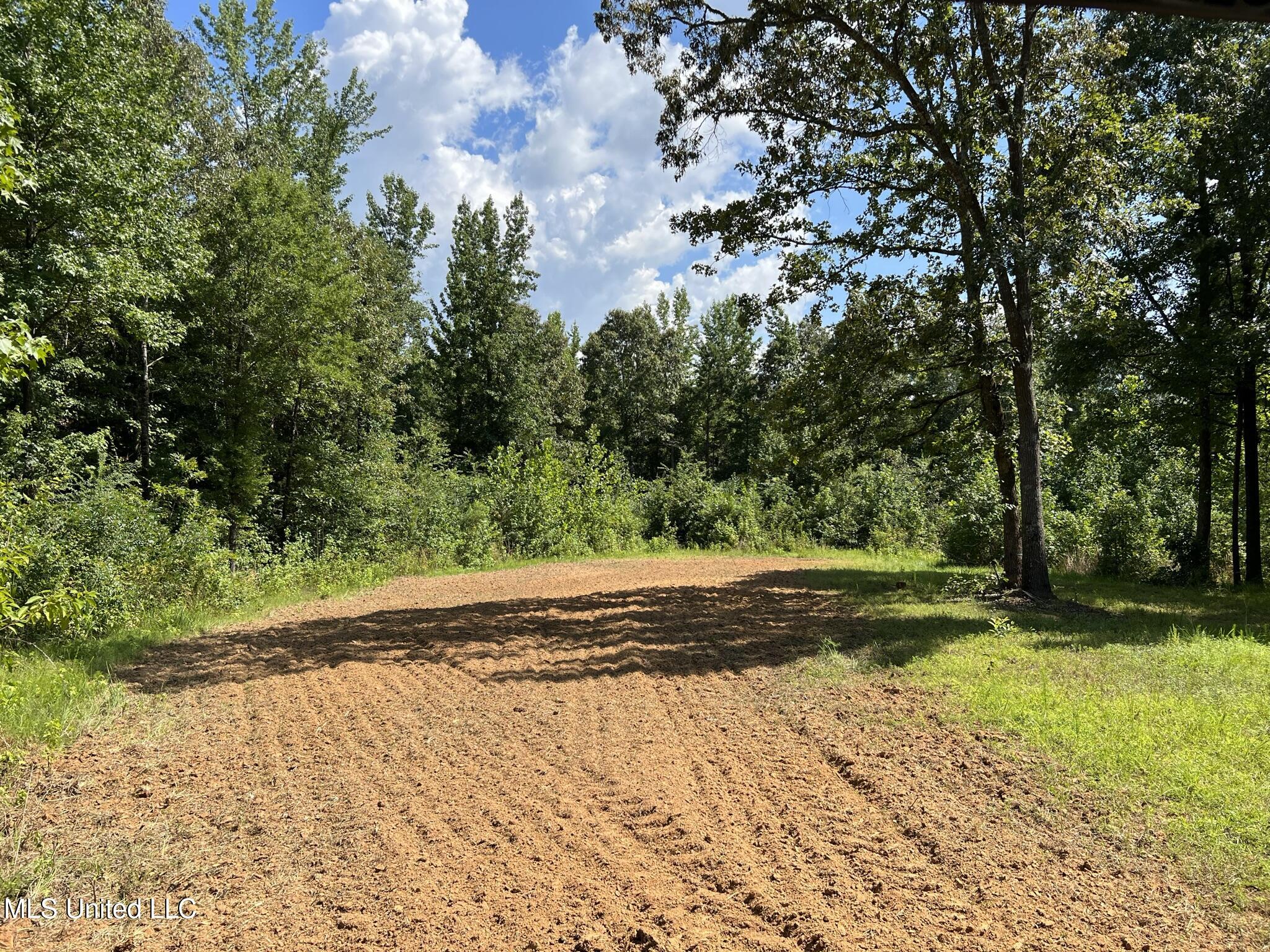 1975 Highway 178 Myrtle, MS 38650 - Photo 41 of 199 IMG_39