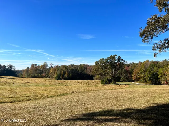 $5,200,000 | 1975 Highway 178, Myrtle, MS 38650