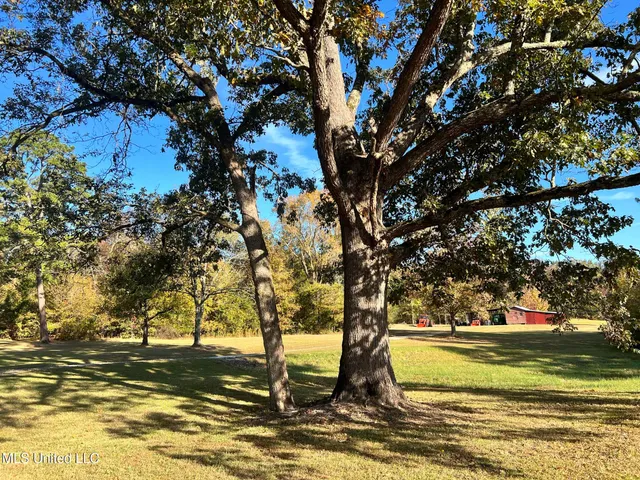 $5,200,000 | 1975 Highway 178, Myrtle, MS 38650