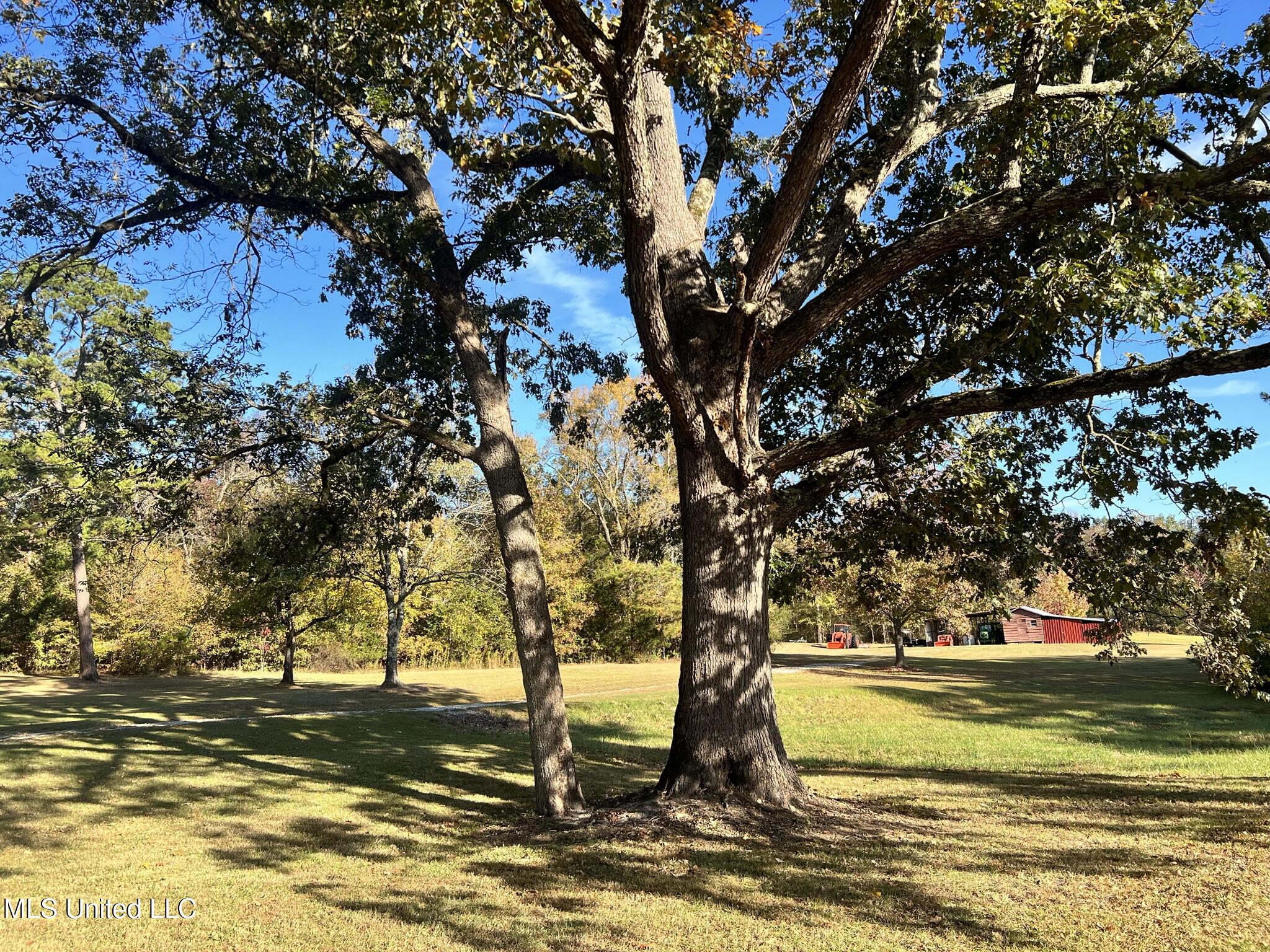 1975 Highway 178 Myrtle, MS 38650 - Photo 45 of 199 IMG_44