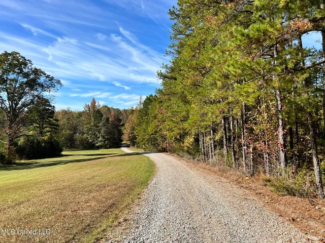 $5,200,000 | 1975 Highway 178, Myrtle, MS 38650