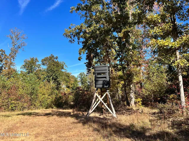 $5,200,000 | 1975 Highway 178, Myrtle, MS 38650