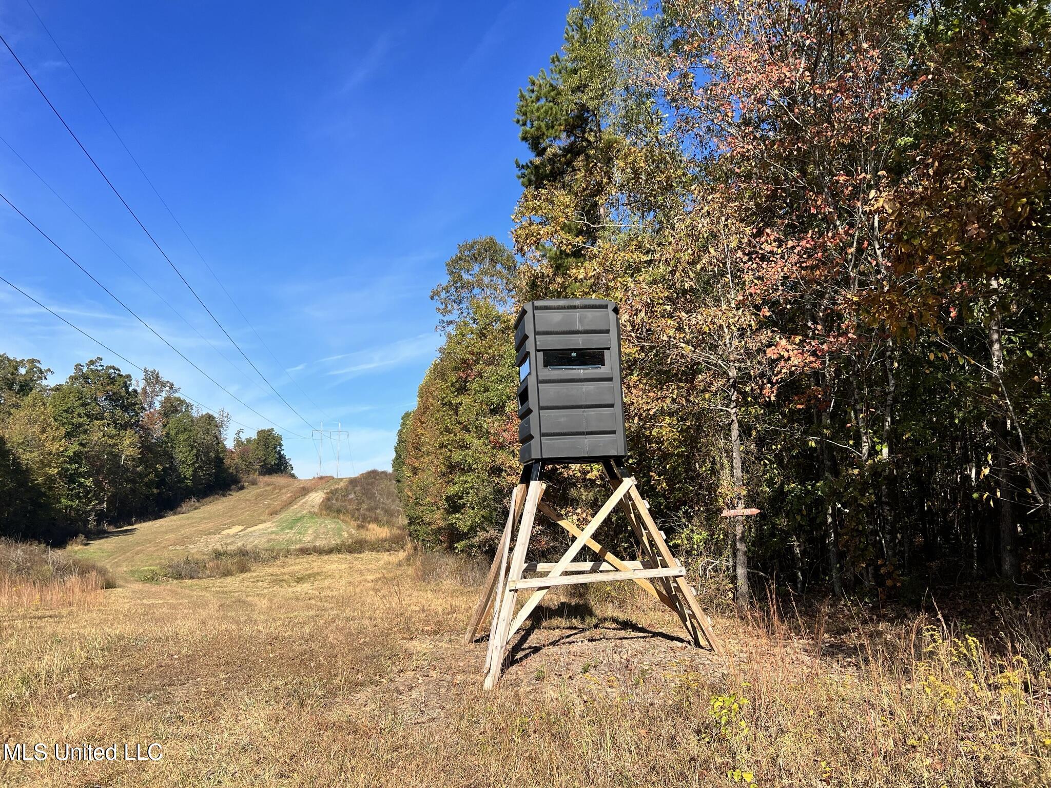 1975 Highway 178 Myrtle, MS 38650 - Photo 55 of 199 IMG_54