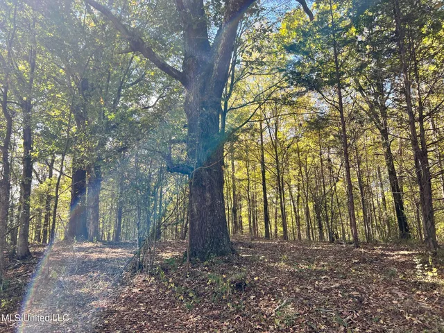 $5,200,000 | 1975 Highway 178, Myrtle, MS 38650