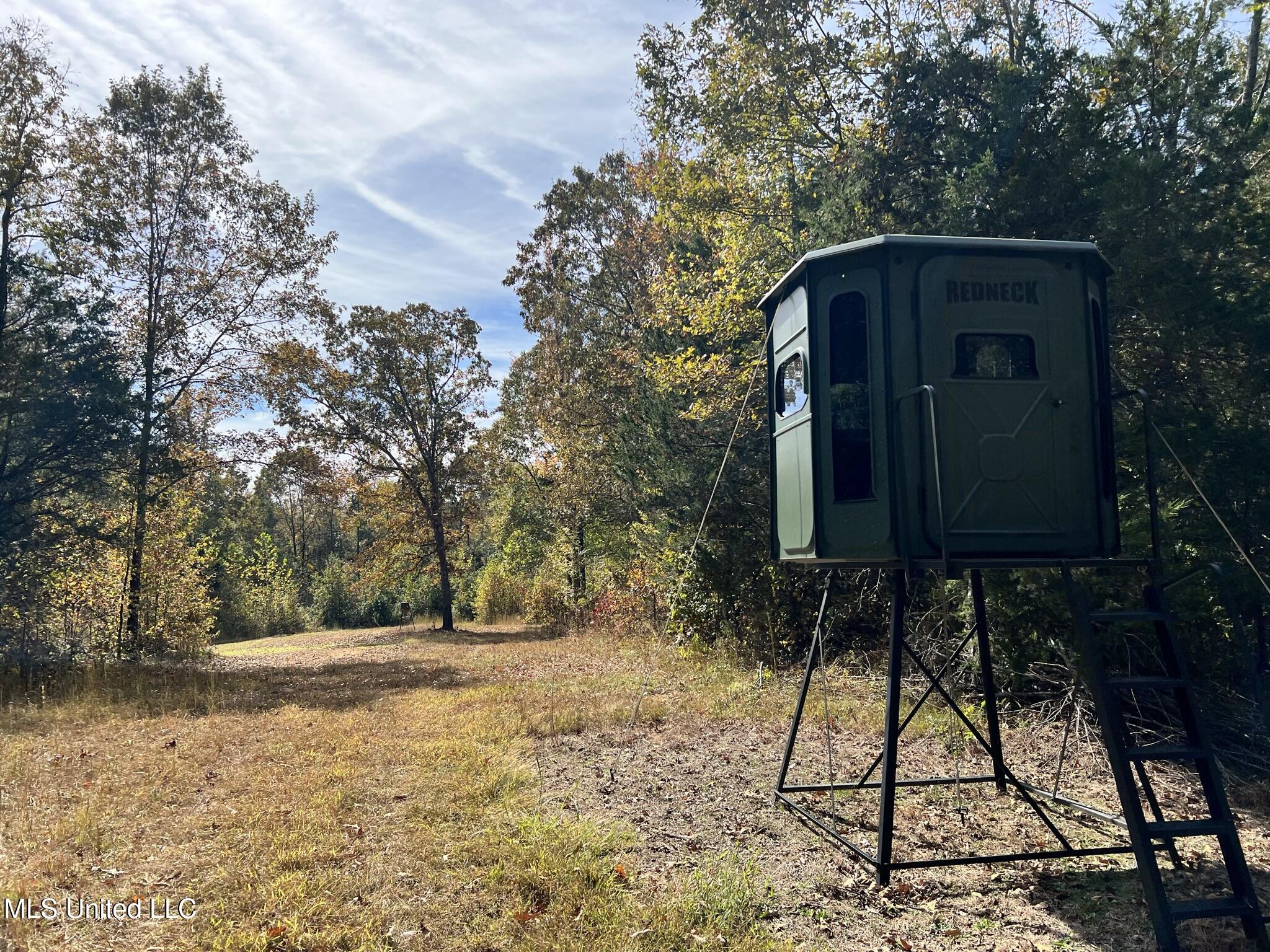 1975 Highway 178 Myrtle, MS 38650 - Photo 57 of 199 IMG_56