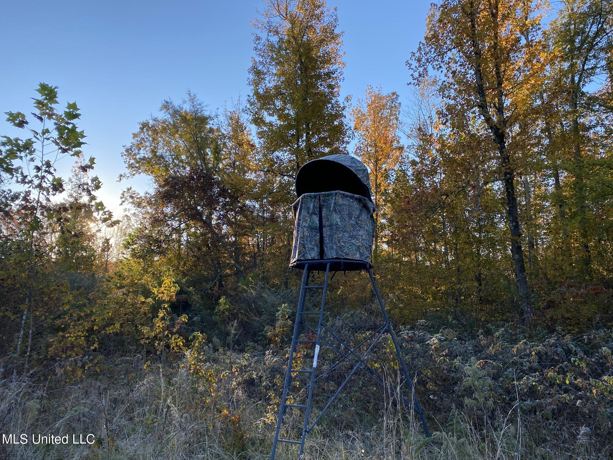 1975 Highway 178 Myrtle, MS 38650 - Photo 59 of 199 IMG_58