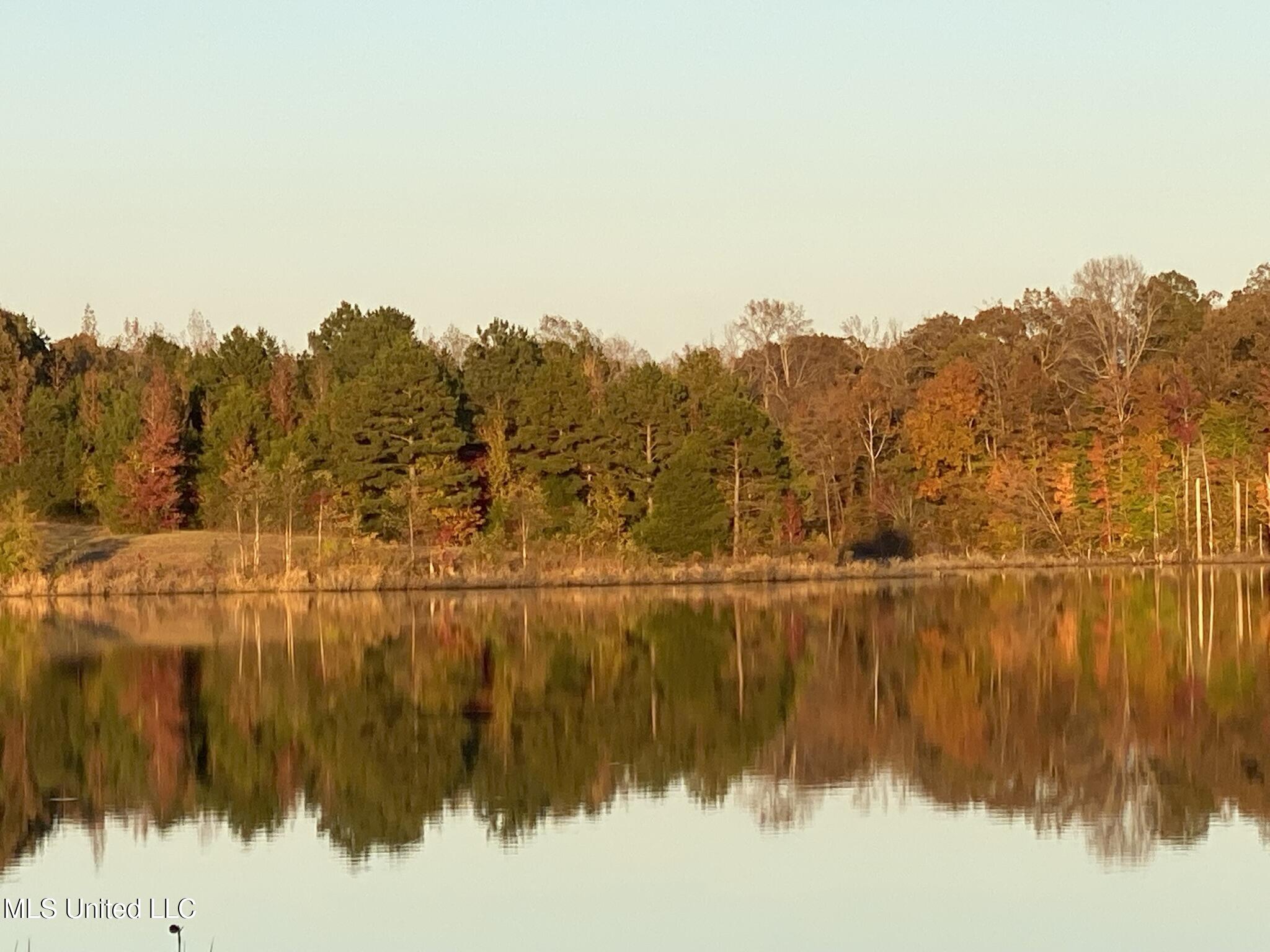 1975 Highway 178 Myrtle, MS 38650 - Photo 60 of 199 IMG_59