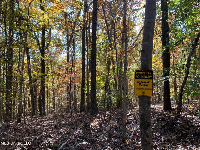 $5,200,000 | 1975 Highway 178, Myrtle, MS 38650