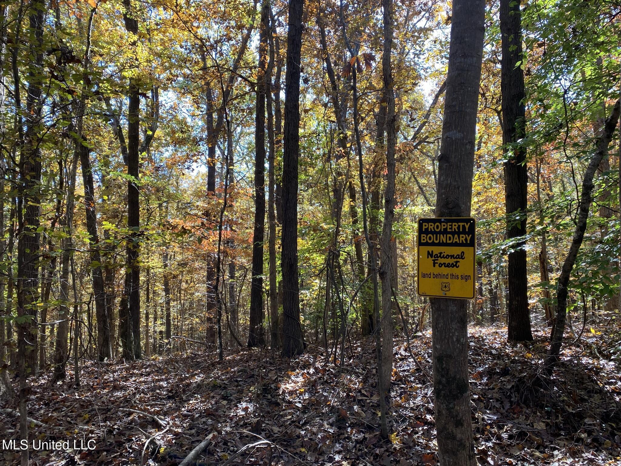 1975 Highway 178 Myrtle, MS 38650 - Photo 61 of 199 IMG_60