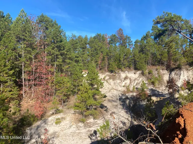 $5,200,000 | 1975 Highway 178, Myrtle, MS 38650