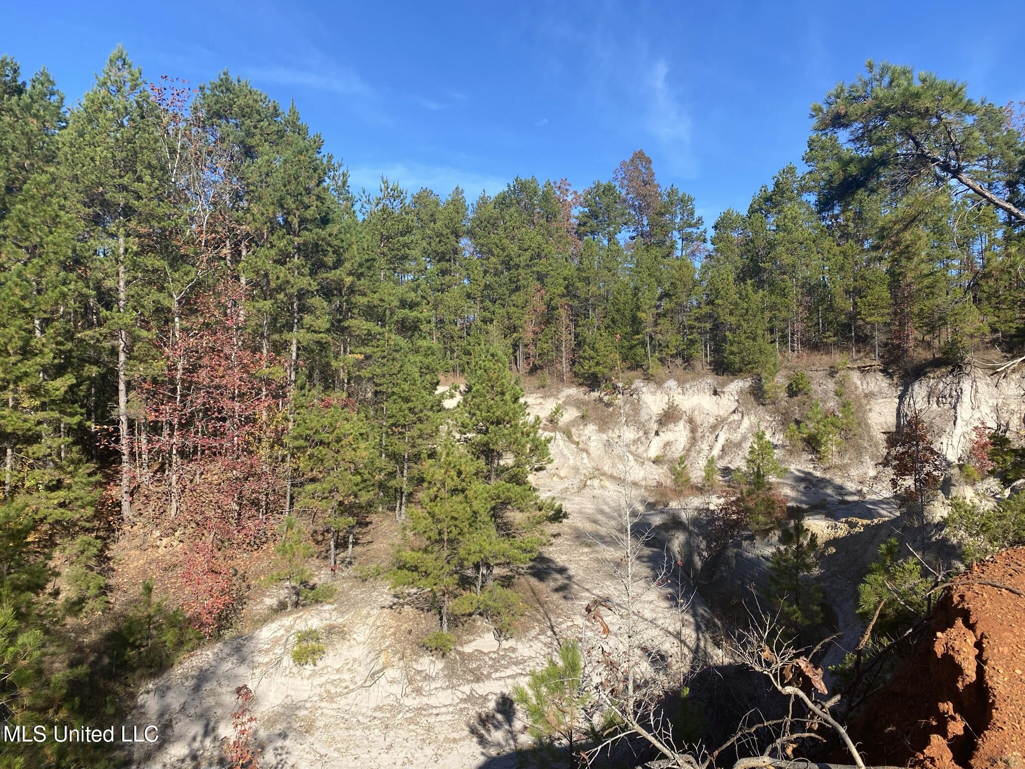 1975 Highway 178 Myrtle, MS 38650 - Photo 62 of 199 IMG_62