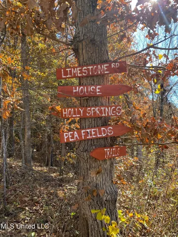 $5,200,000 | 1975 Highway 178, Myrtle, MS 38650