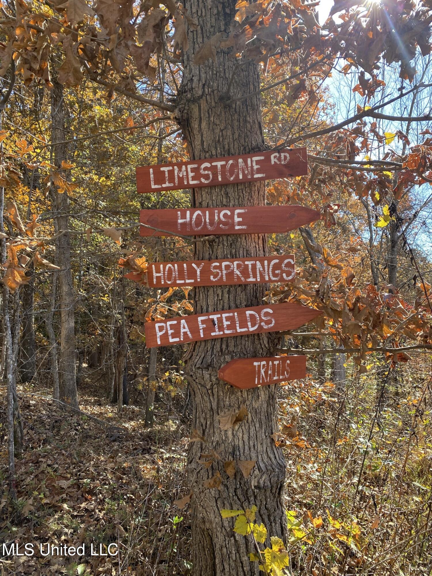 1975 Highway 178 Myrtle, MS 38650 - Photo 63 of 199 IMG_63