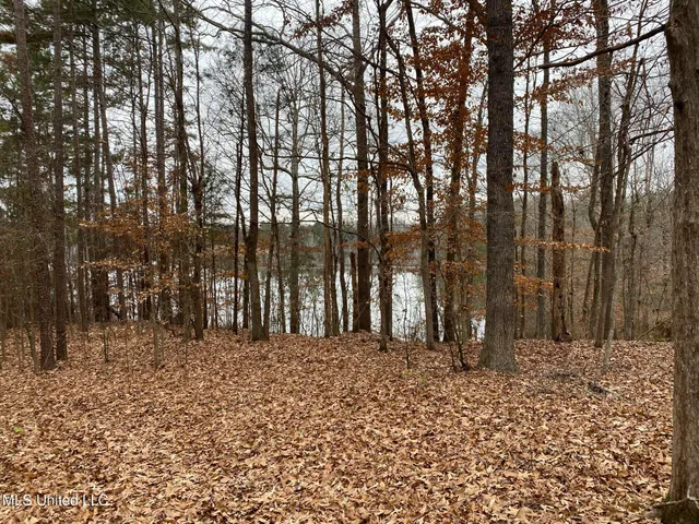 $5,200,000 | 1975 Highway 178, Myrtle, MS 38650