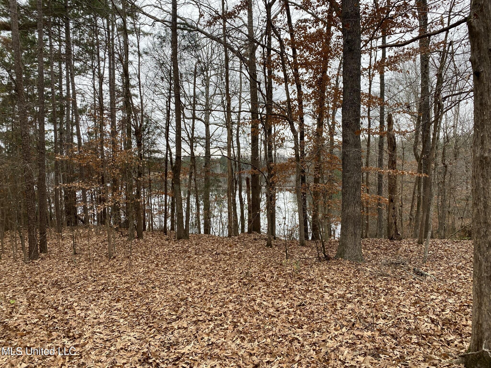 1975 Highway 178 Myrtle, MS 38650 - Photo 64 of 199 IMG_64