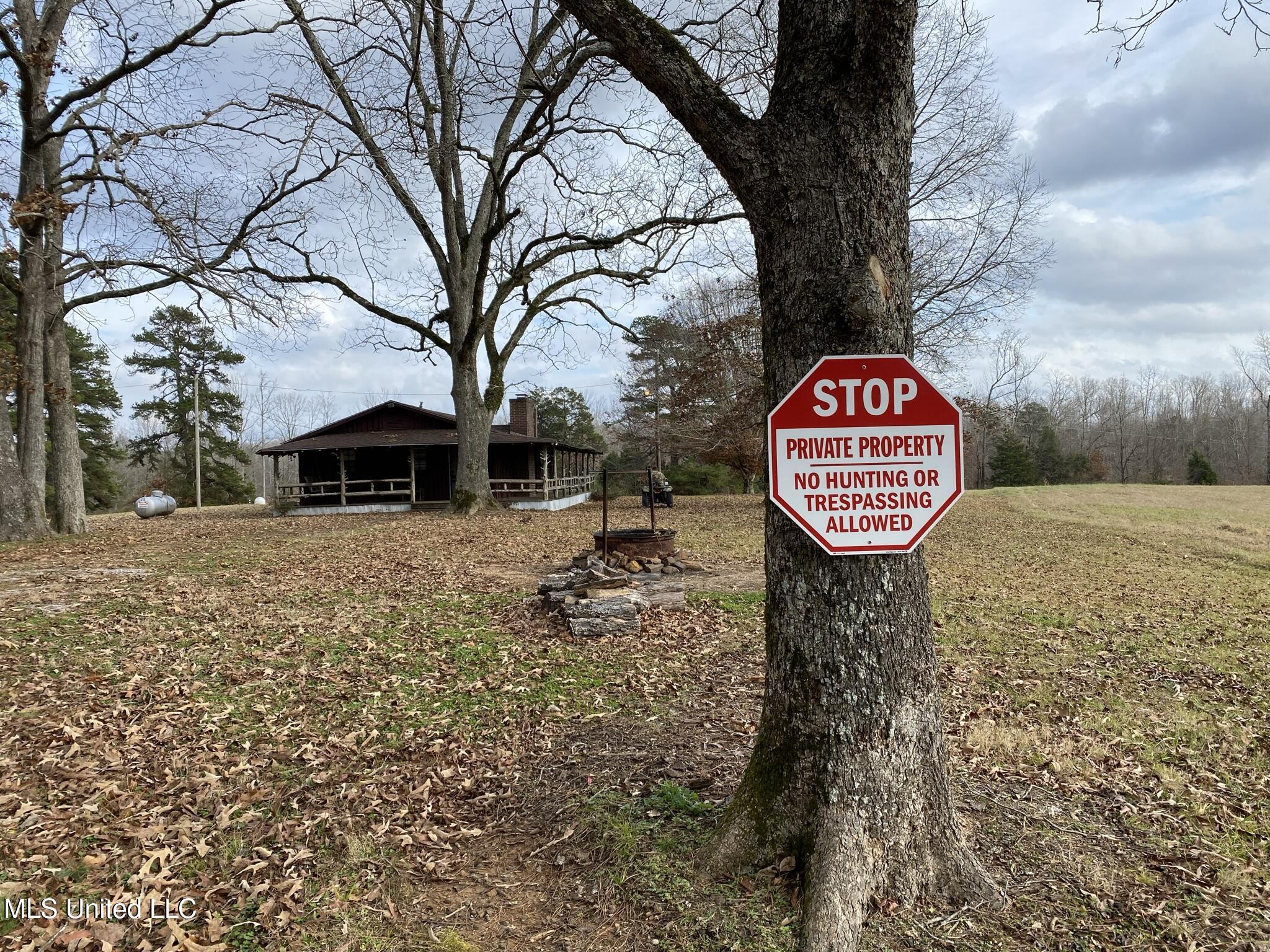1975 Highway 178 Myrtle, MS 38650 - Photo 65 of 199 IMG_65