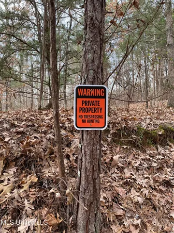 $5,200,000 | 1975 Highway 178, Myrtle, MS 38650