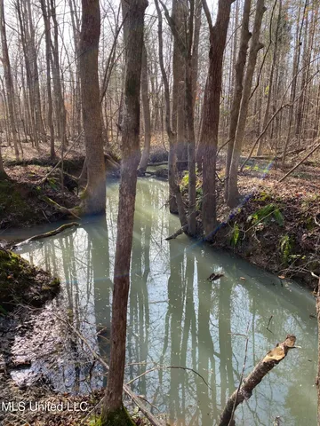 $5,200,000 | 1975 Highway 178, Myrtle, MS 38650