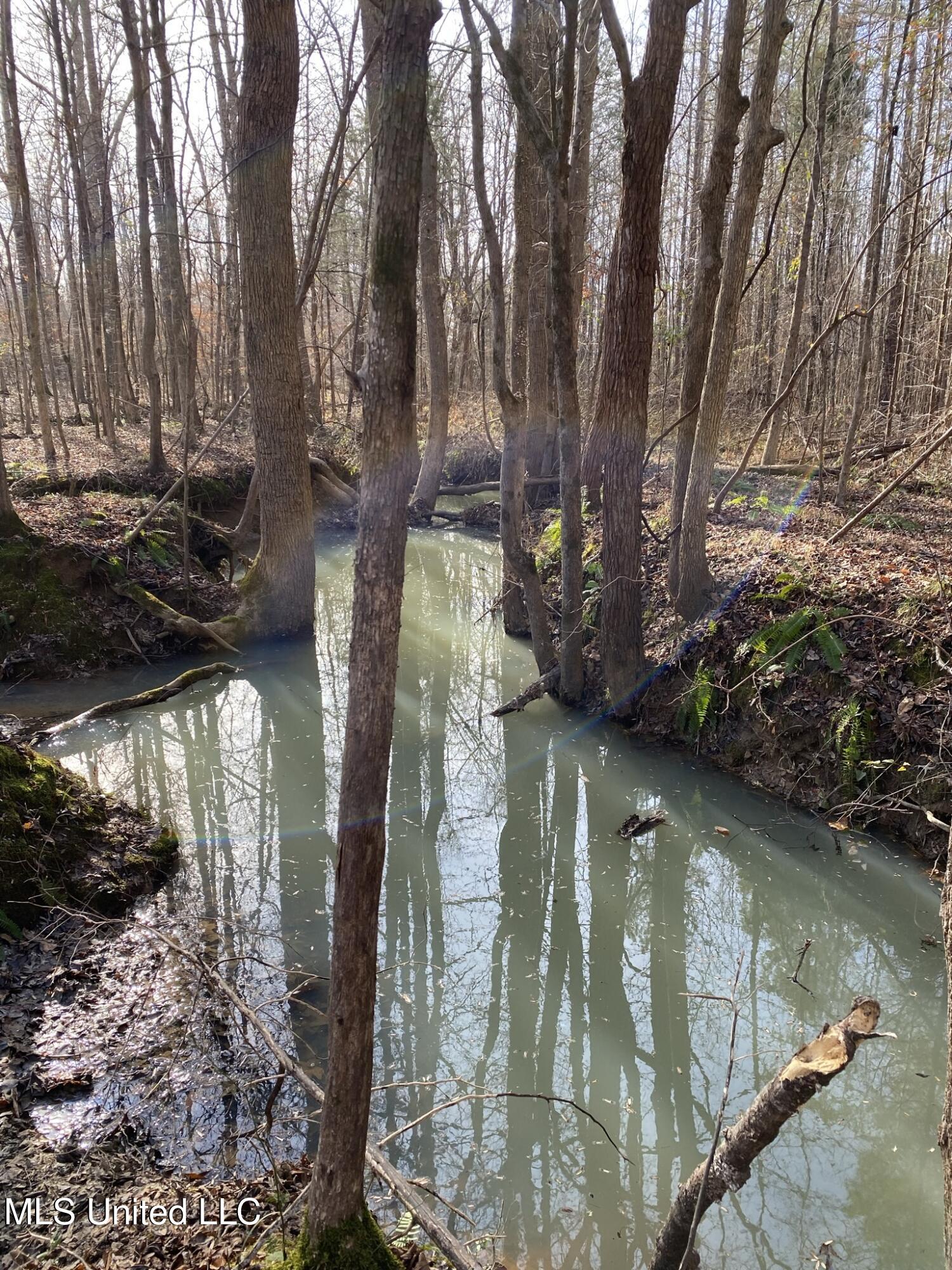 1975 Highway 178 Myrtle, MS 38650 - Photo 67 of 199 IMG_67