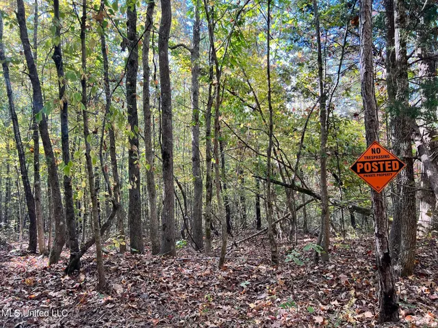 $5,200,000 | 1975 Highway 178, Myrtle, MS 38650