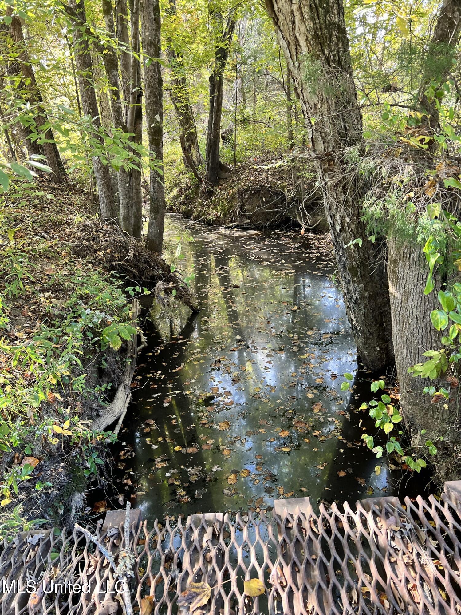 1975 Highway 178 Myrtle, MS 38650 - Photo 70 of 199 IMG_70