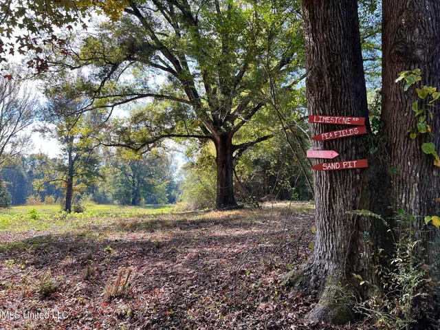 $5,200,000 | 1975 Highway 178, Myrtle, MS 38650