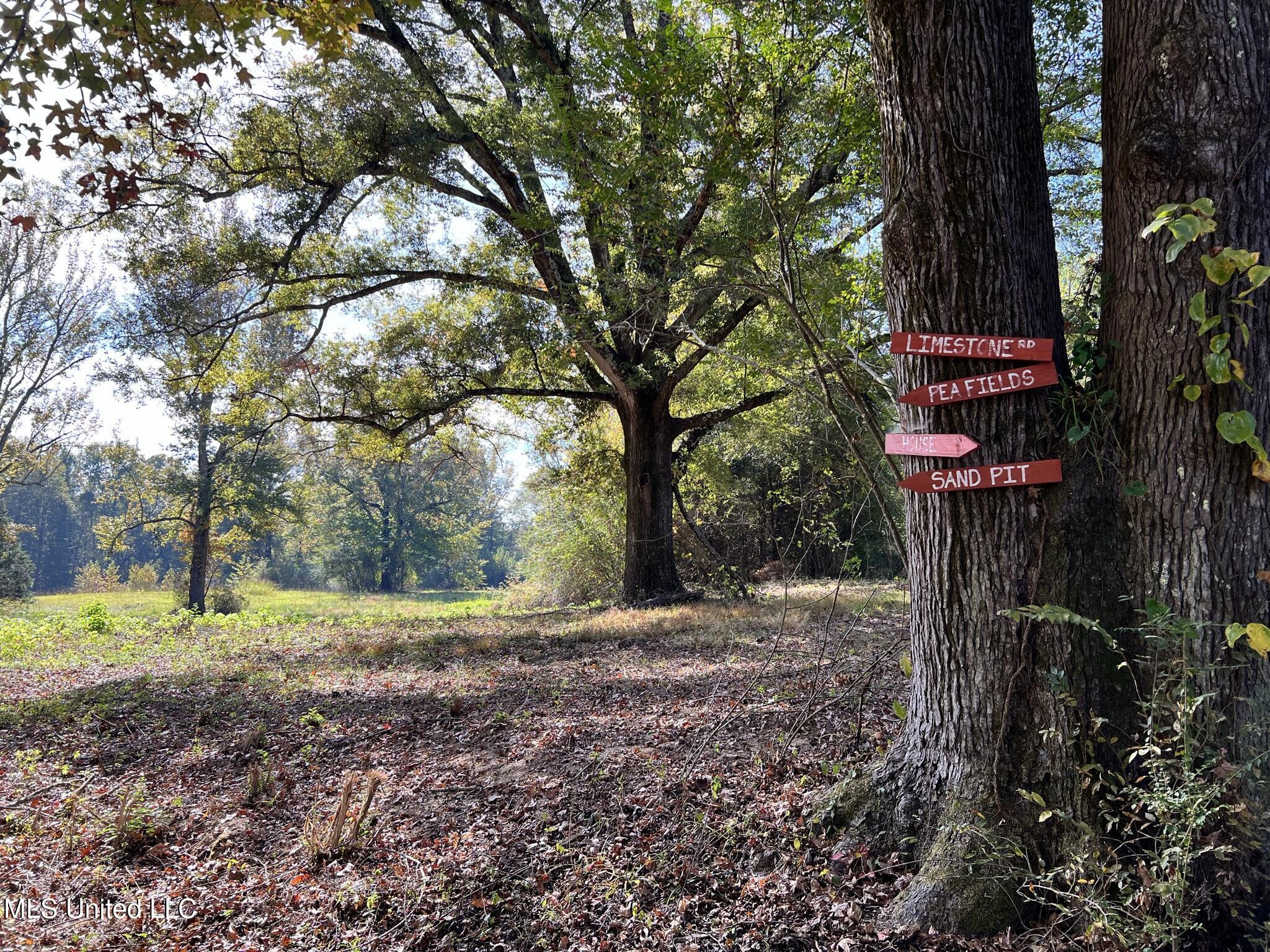 1975 Highway 178 Myrtle, MS 38650 - Photo 71 of 199 IMG_71