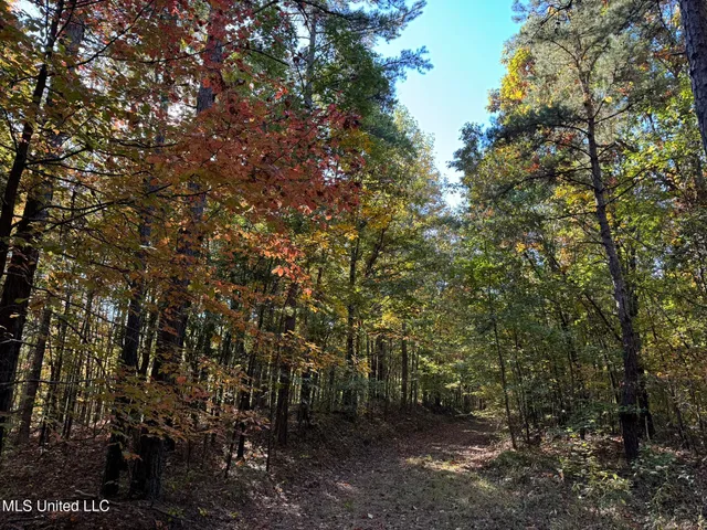 $5,200,000 | 1975 Highway 178, Myrtle, MS 38650