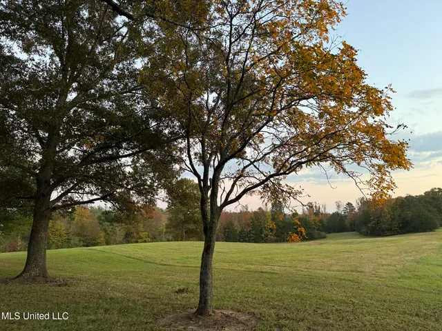 $5,200,000 | 1975 Highway 178, Myrtle, MS 38650