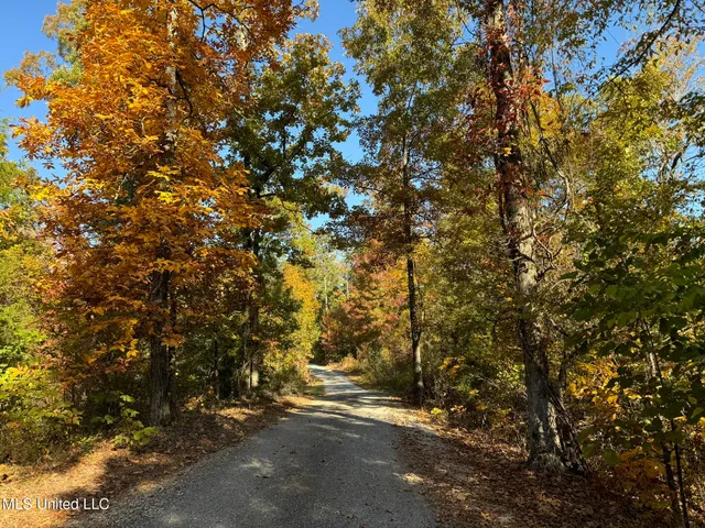 $5,200,000 | 1975 Highway 178, Myrtle, MS 38650