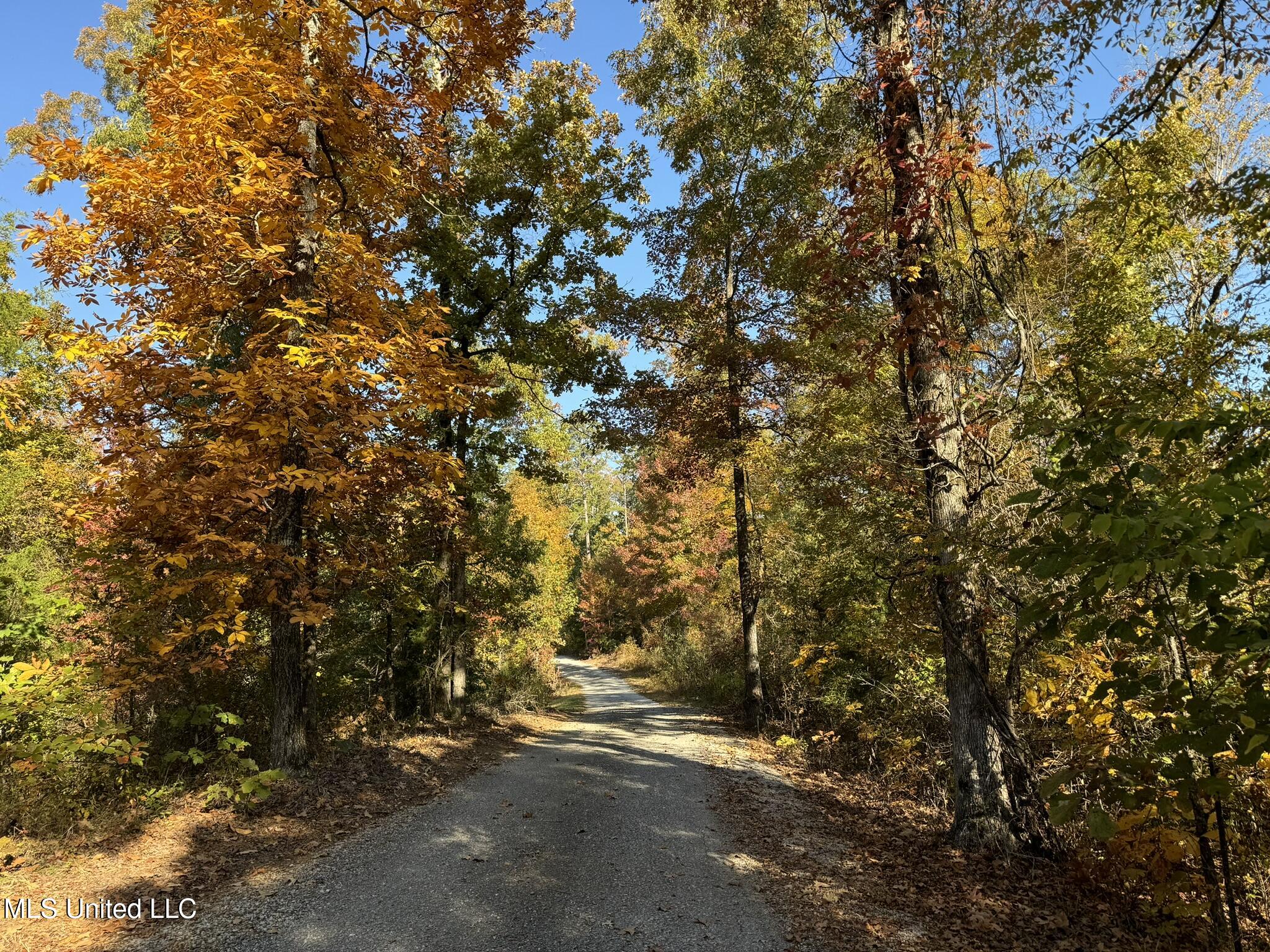 1975 Highway 178 Myrtle, MS 38650 - Photo 75 of 199 IMG_75