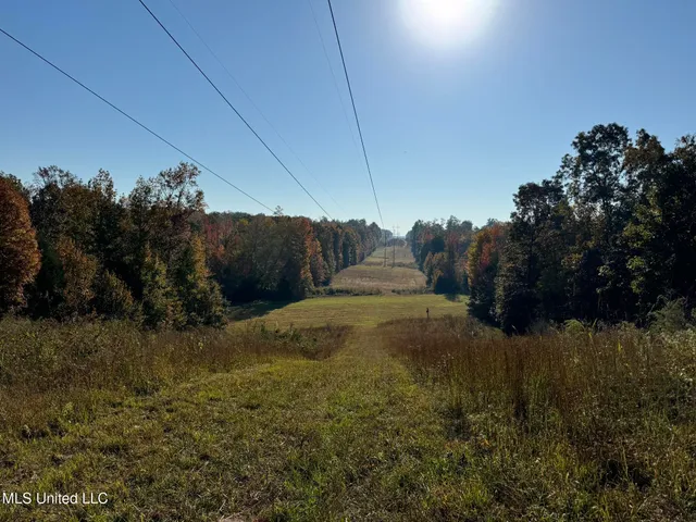 $5,200,000 | 1975 Highway 178, Myrtle, MS 38650