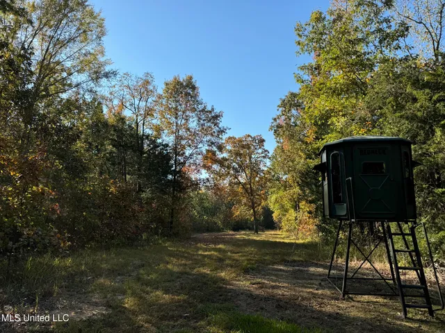 $5,200,000 | 1975 Highway 178, Myrtle, MS 38650