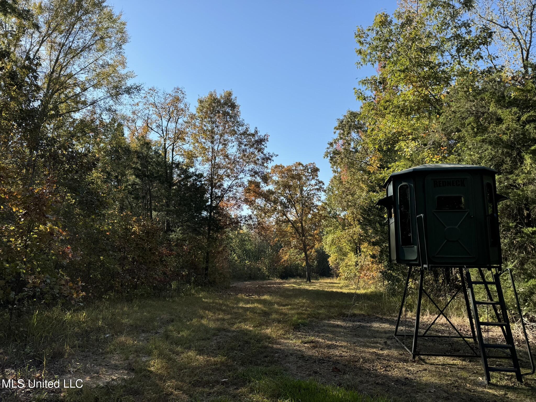 1975 Highway 178 Myrtle, MS 38650 - Photo 77 of 199 IMG_77