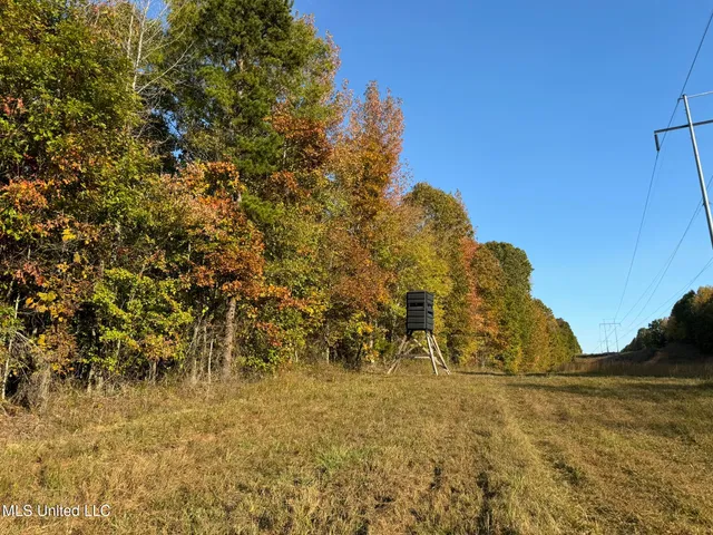 $5,200,000 | 1975 Highway 178, Myrtle, MS 38650