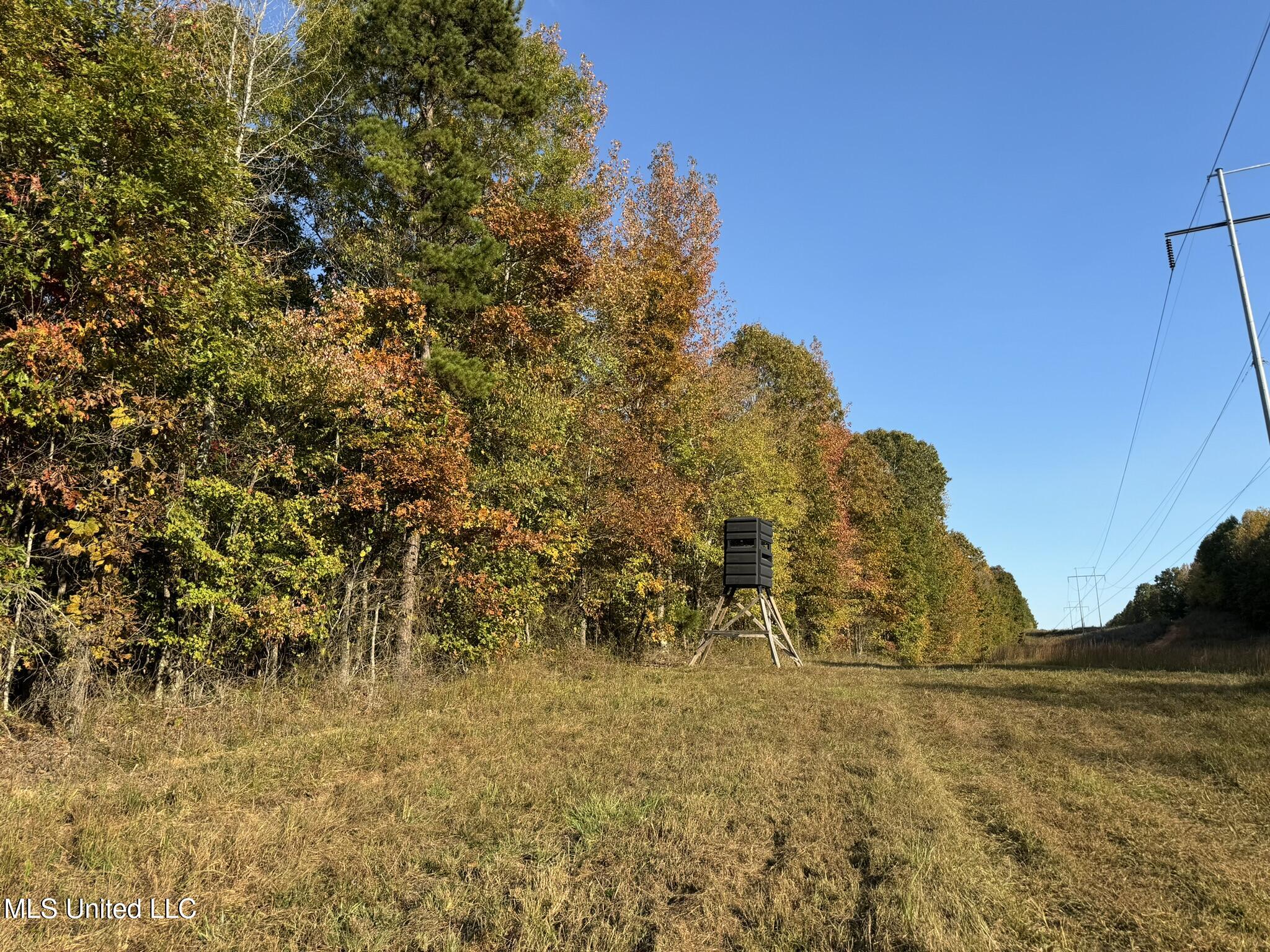 1975 Highway 178 Myrtle, MS 38650 - Photo 79 of 199 IMG_79