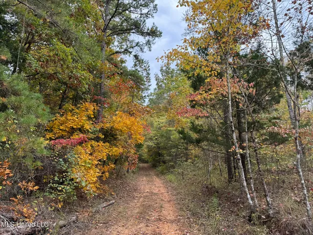 $5,200,000 | 1975 Highway 178, Myrtle, MS 38650