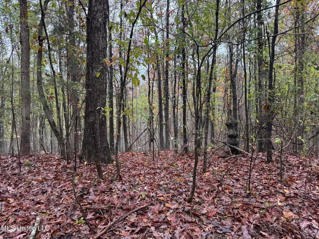 $5,200,000 | 1975 Highway 178, Myrtle, MS 38650