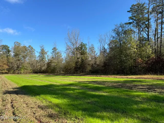$5,200,000 | 1975 Highway 178, Myrtle, MS 38650