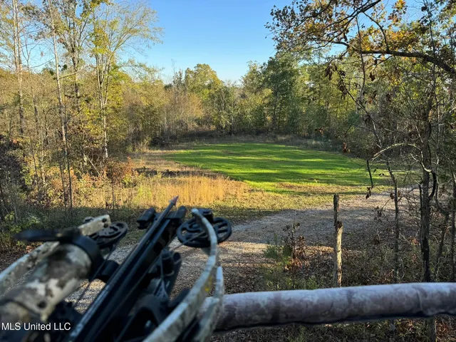 $5,200,000 | 1975 Highway 178, Myrtle, MS 38650