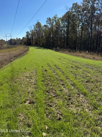 $5,200,000 | 1975 Highway 178, Myrtle, MS 38650