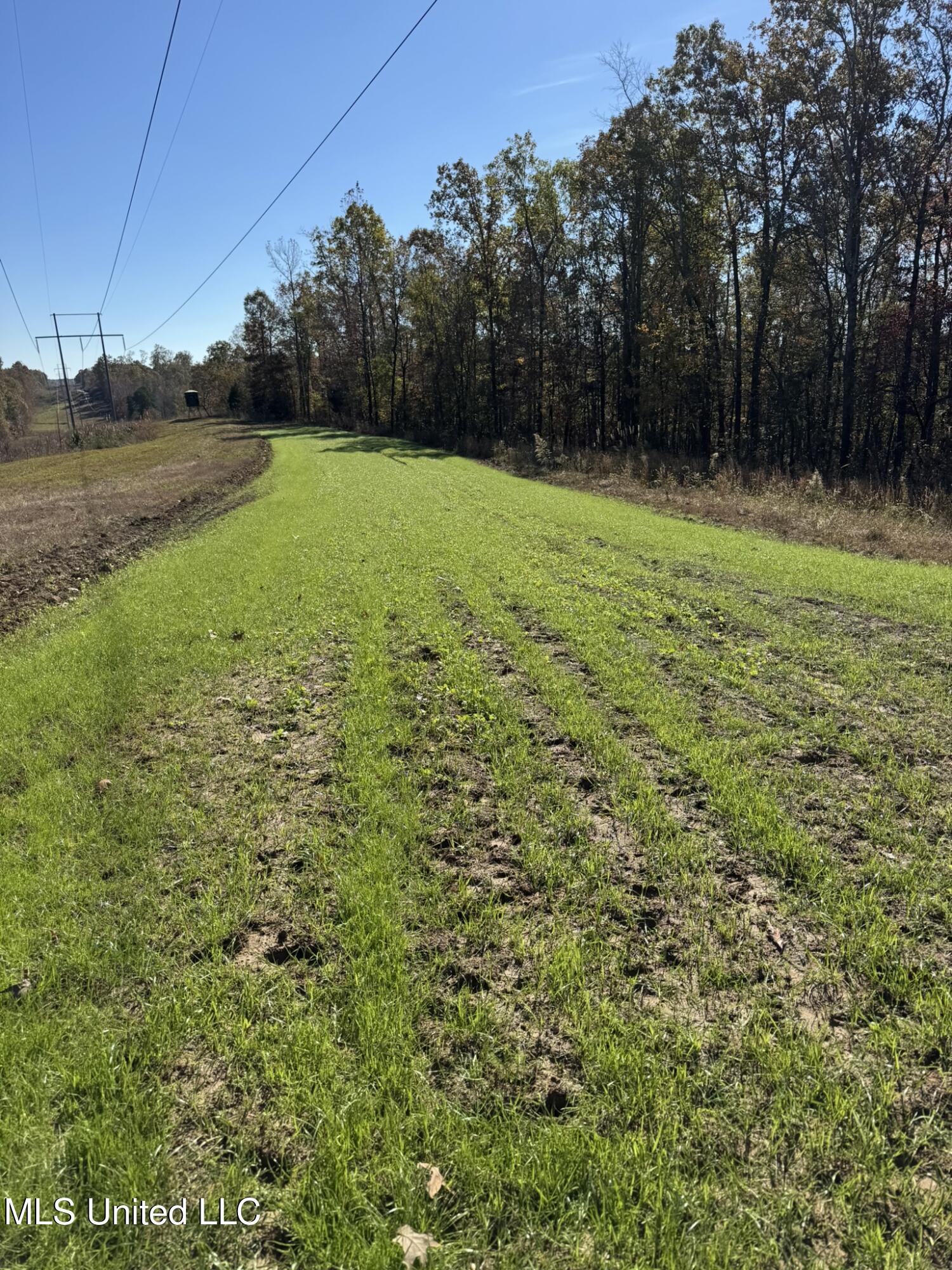 1975 Highway 178 Myrtle, MS 38650 - Photo 84 of 199 IMG_84