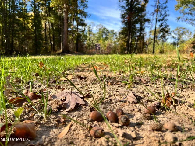 $5,200,000 | 1975 Highway 178, Myrtle, MS 38650