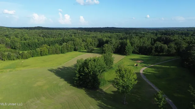 $5,200,000 | 1975 Highway 178, Myrtle, MS 38650