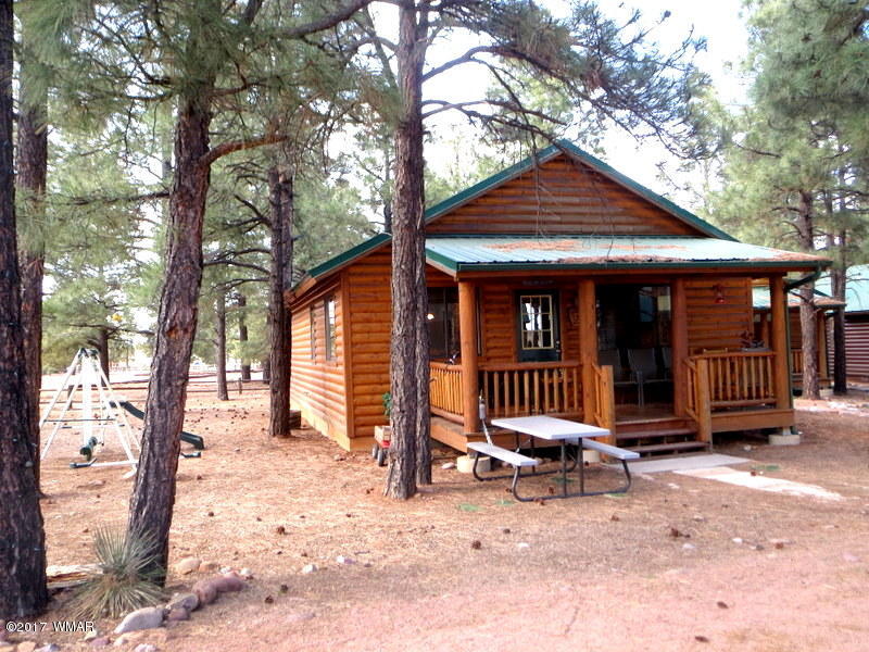 2722 High Pines Loop Overgaard, AZ 85933 - Photo 1 of 32