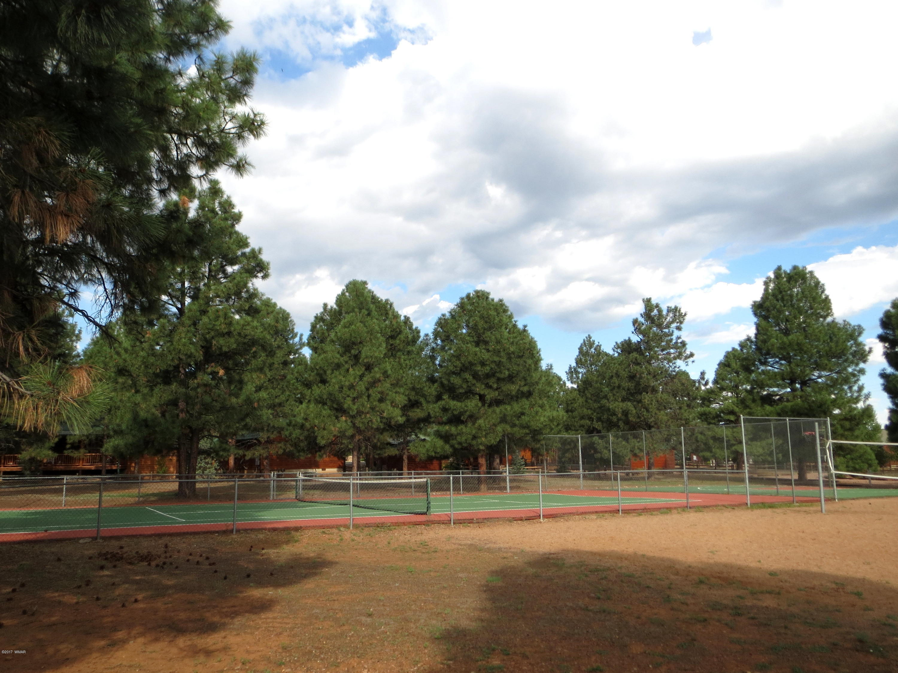 2722 High Pines Loop Overgaard, AZ 85933 - Photo 30 of 32