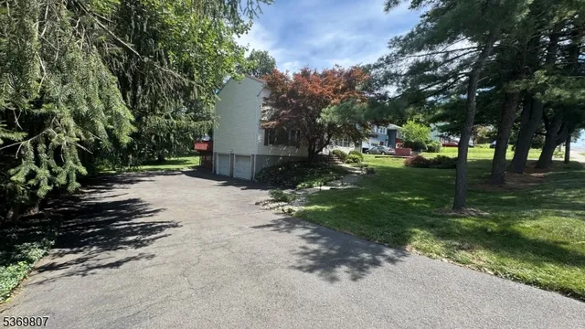 a view of a park with large trees